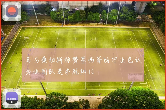 乌戈桑切斯称赞墨西哥防守出色认为法国队是夺冠热门