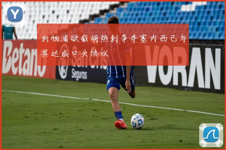 利物浦欲截胡热刺争夺塞内西已与其达成口头协议